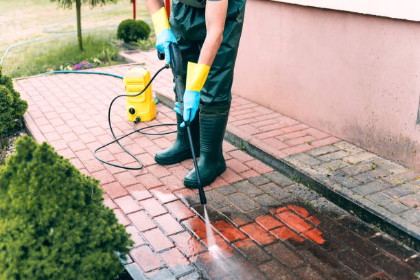 Animal Enclosure Cleaning in Fairview, NJ